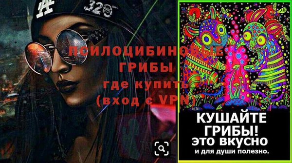 хмурый Александровское