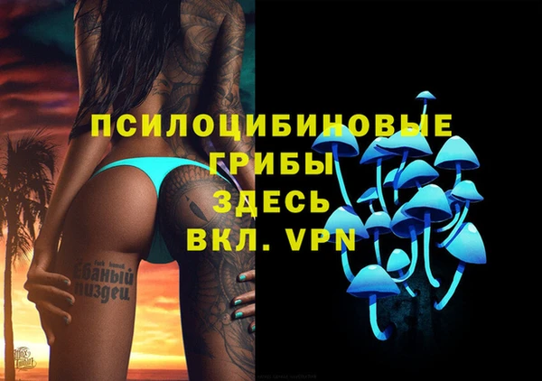 хмурый Александровское