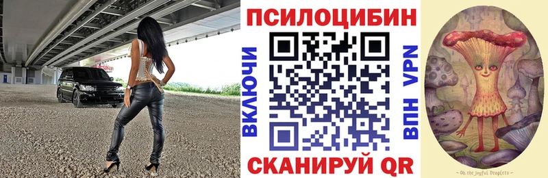Галлюциногенные грибы мухоморы  где купить наркоту  Алексеевка 