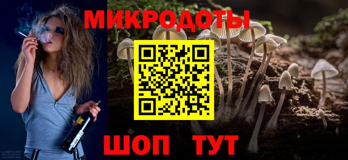 Галлюциногенные грибы Psilocybe Алексеевка