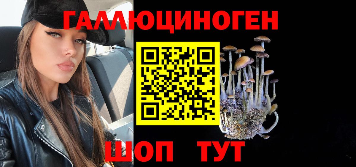Алексеевка  Псилоцибиновые грибы GOLDEN TEACHER  Вход с VPN  Псилоцибиновые грибы прущие грибы 