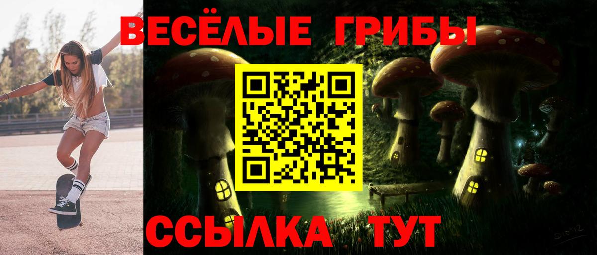 Псилоцибиновые грибы прущие грибы  Вход с VPN  Галлюциногенные грибы Cubensis  Алексеевка 